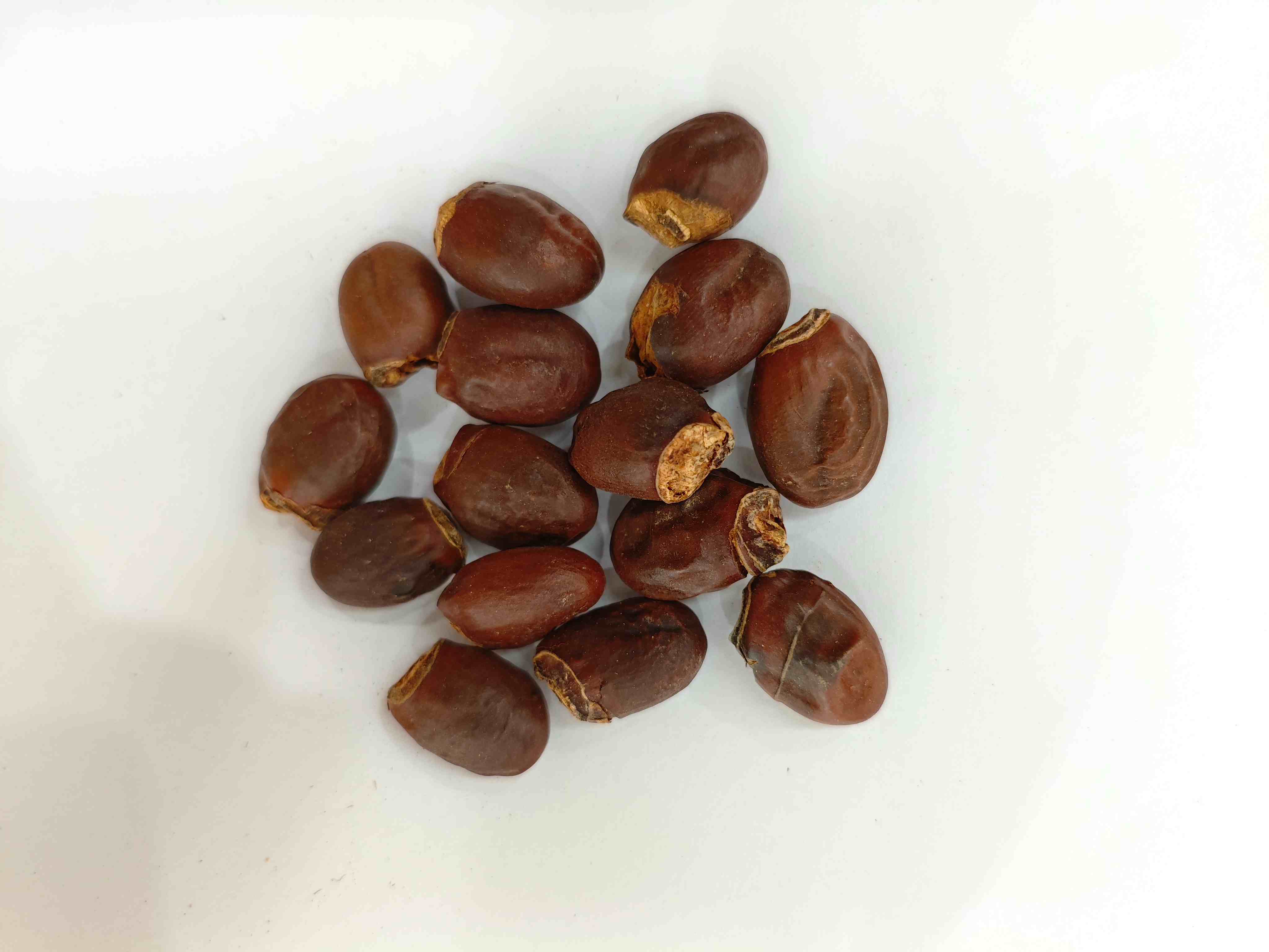 เมล็ดลิ้นจี่ (lìzhīhé)