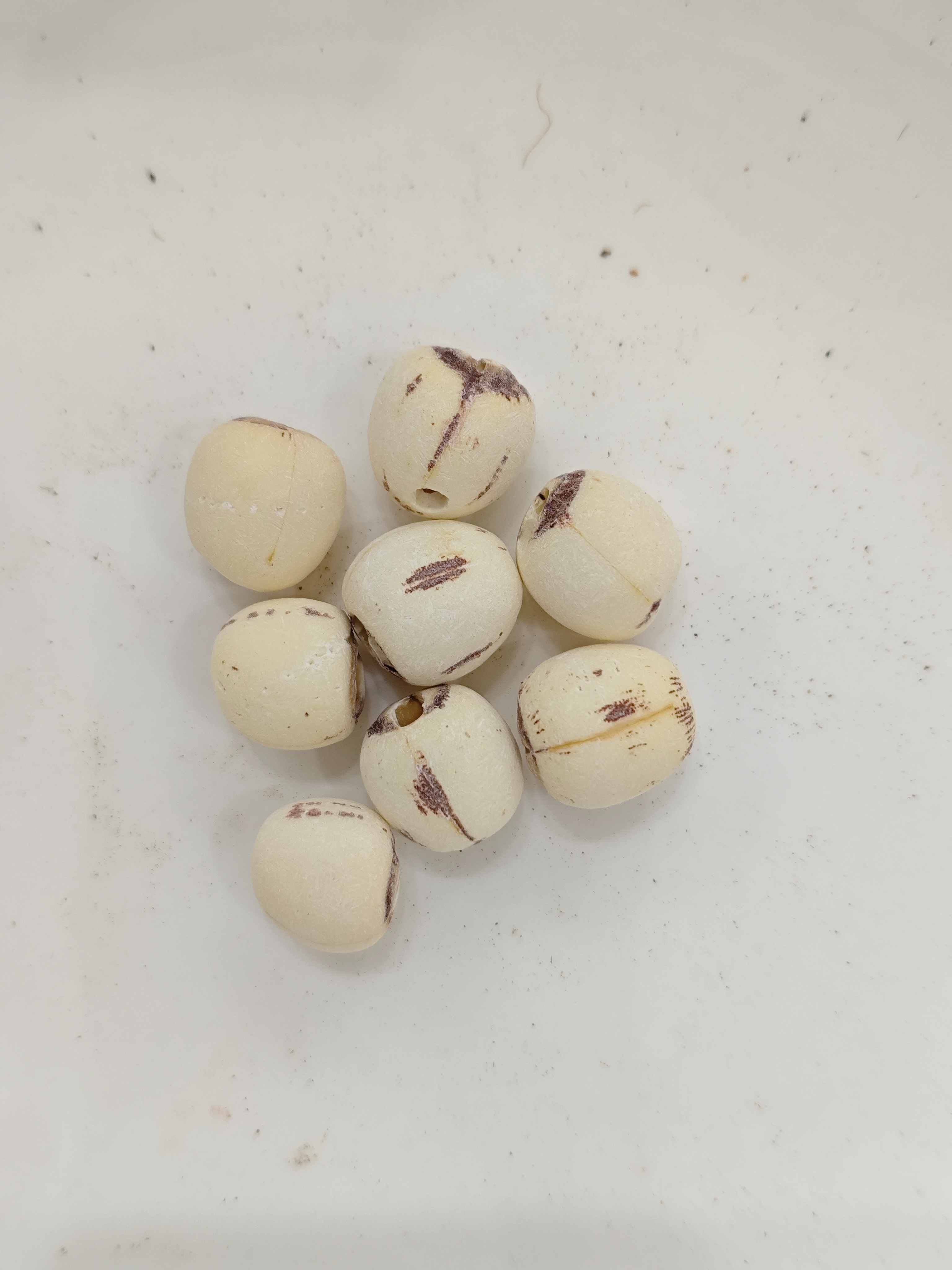 เมล็ดดอกบัว (Liánzǐ)