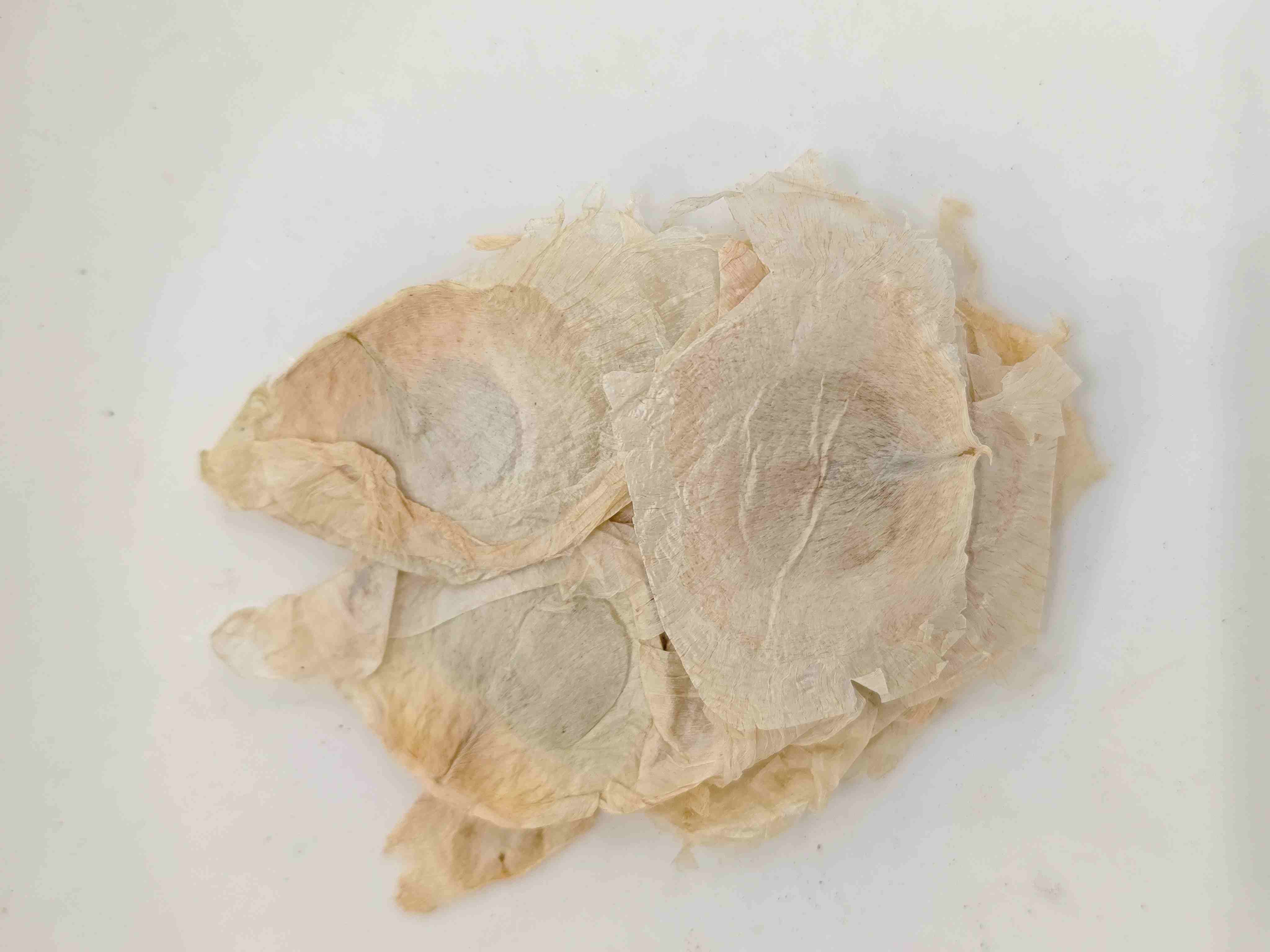 เปลือกต้นไม้ผีเสื้อ (Mùhúdié)