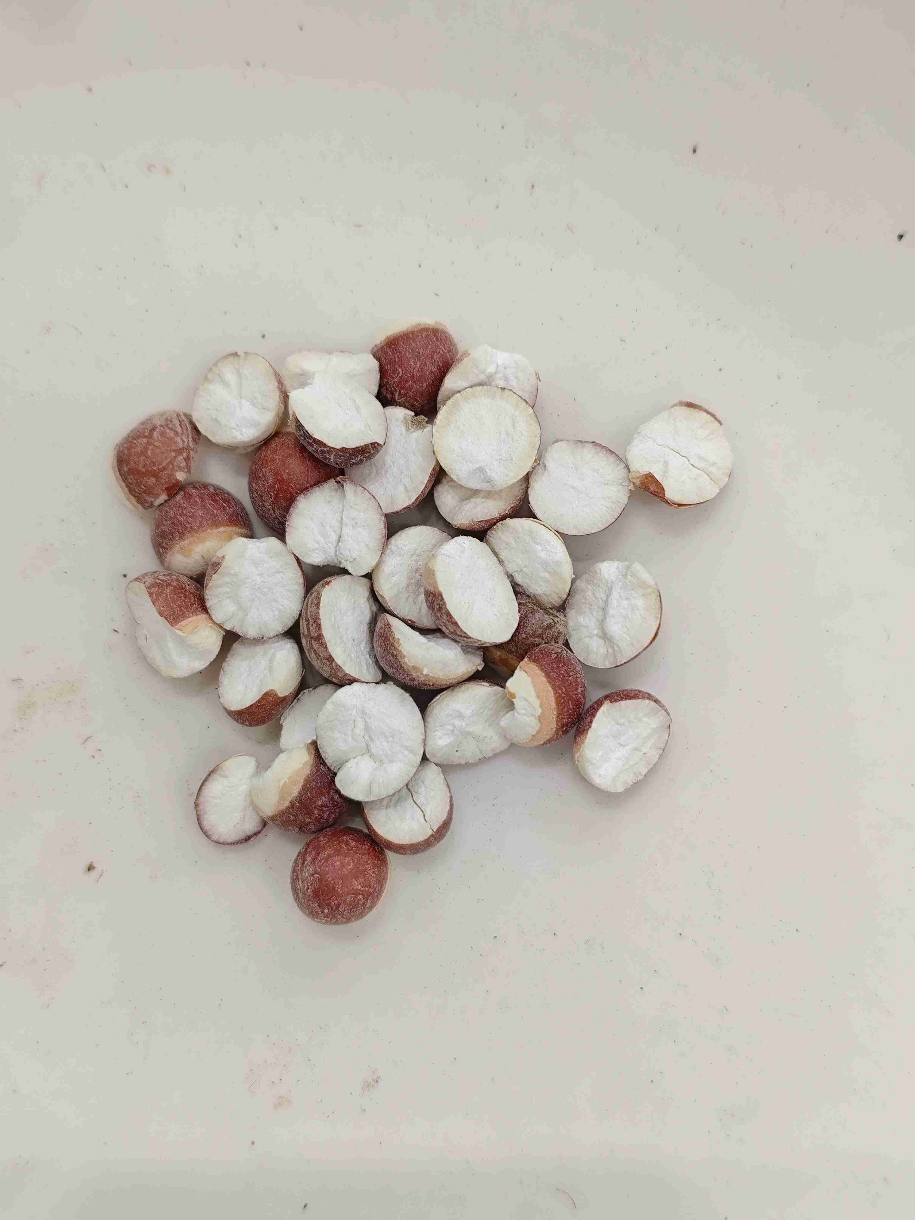 เมล็ด Euryale (Qiànshí)