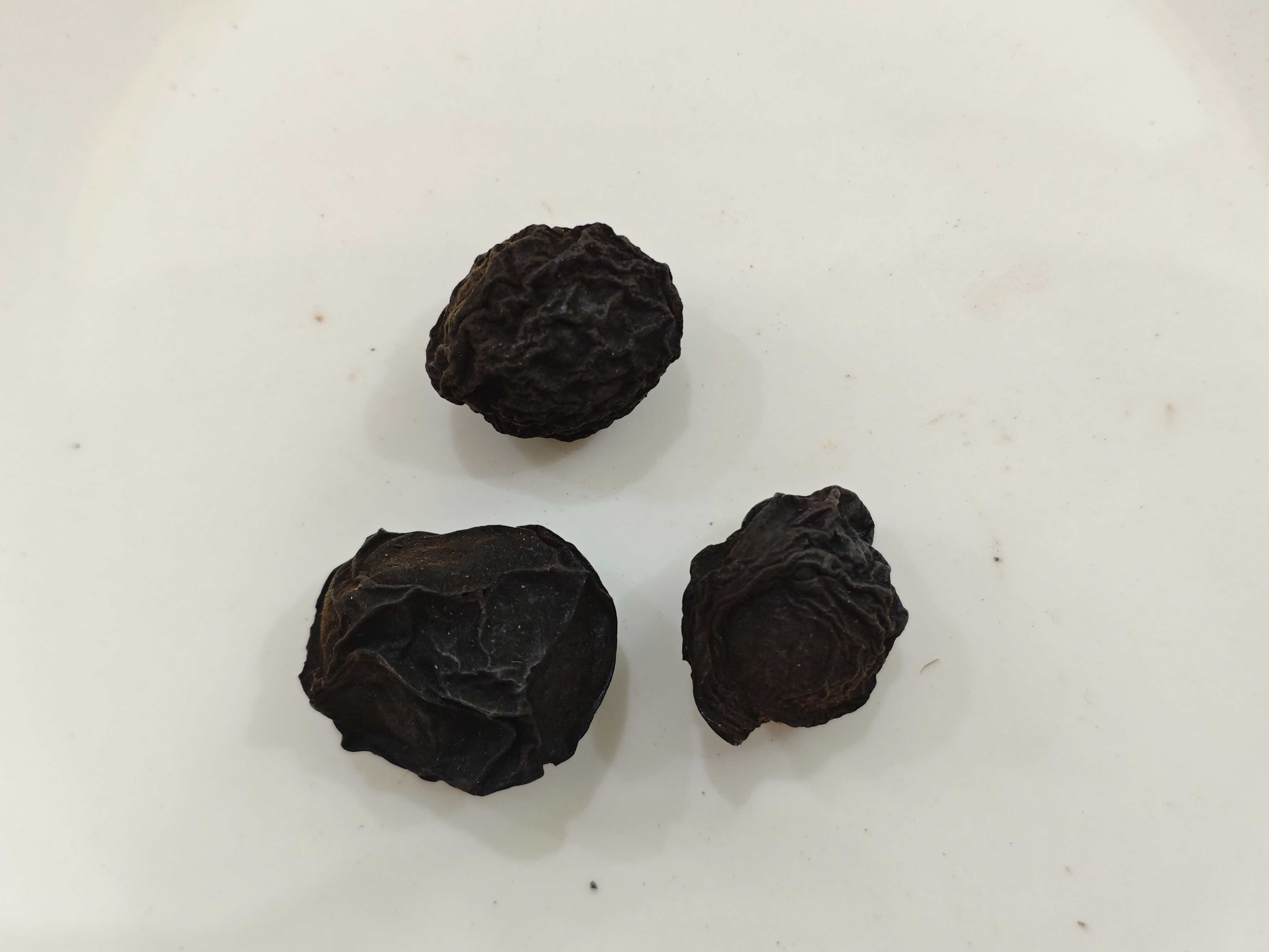 พลัมจีน (wūméi)