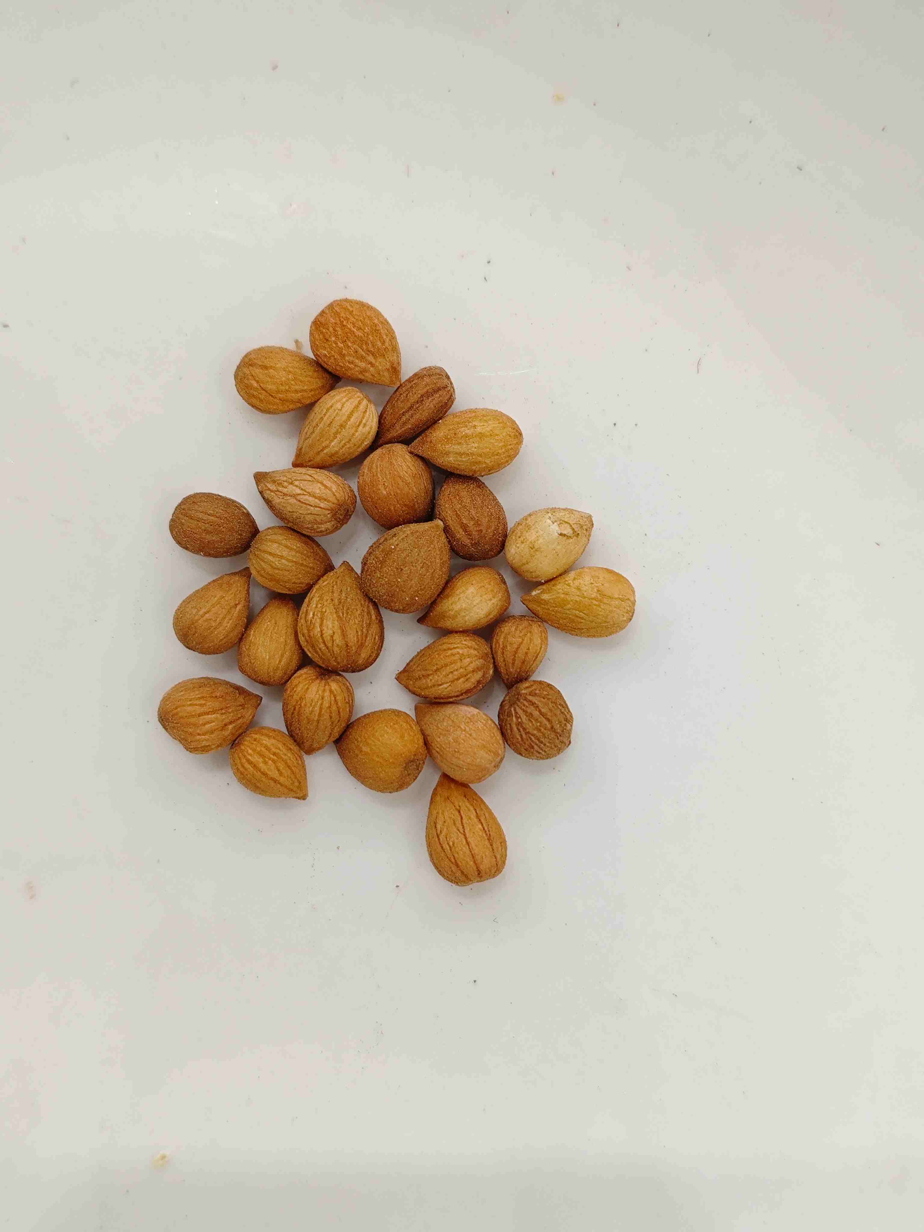 Prunus Seed (yùlǐrén)
