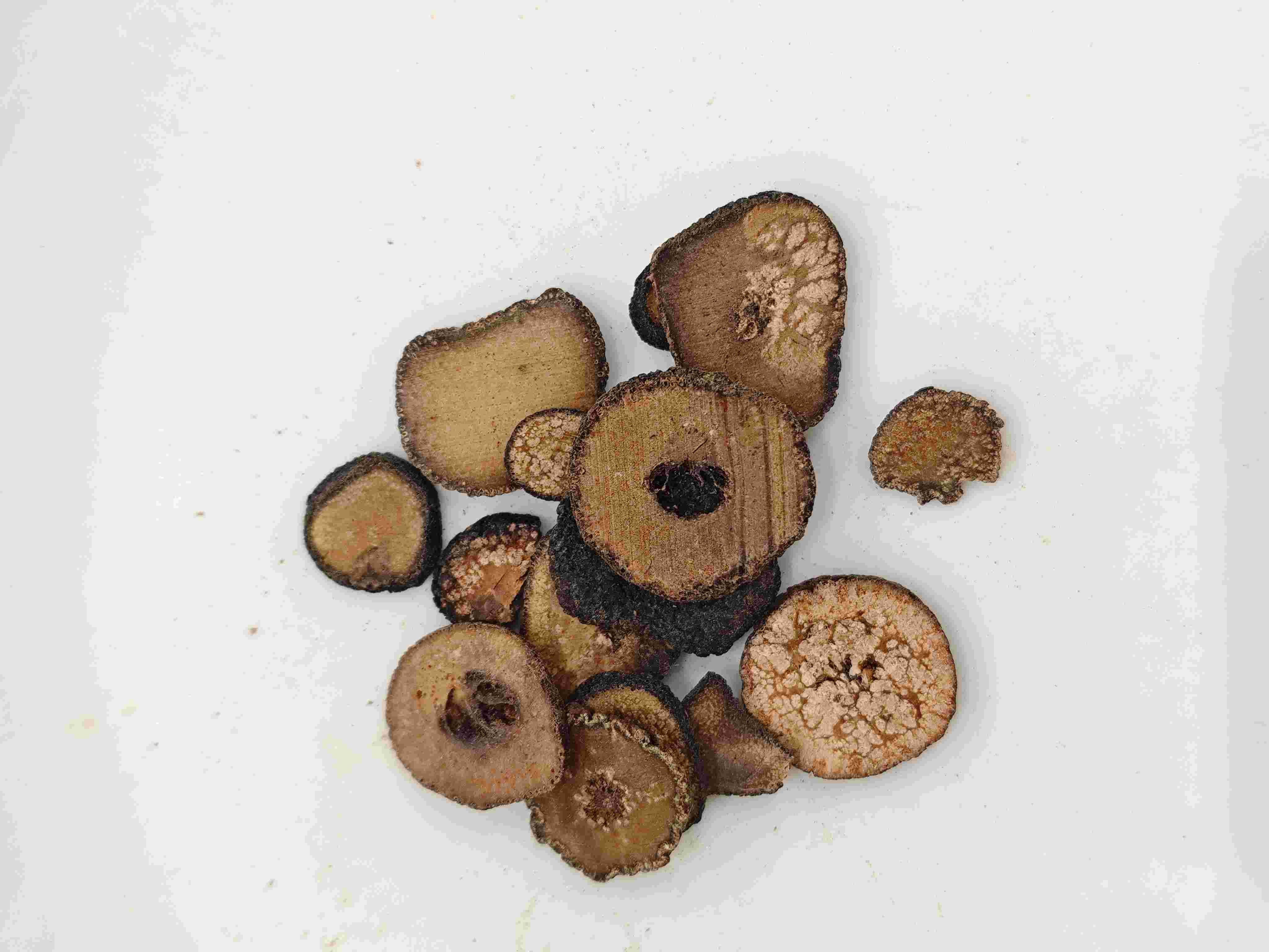 สีส้มขมขื่น (Zhǐshí)