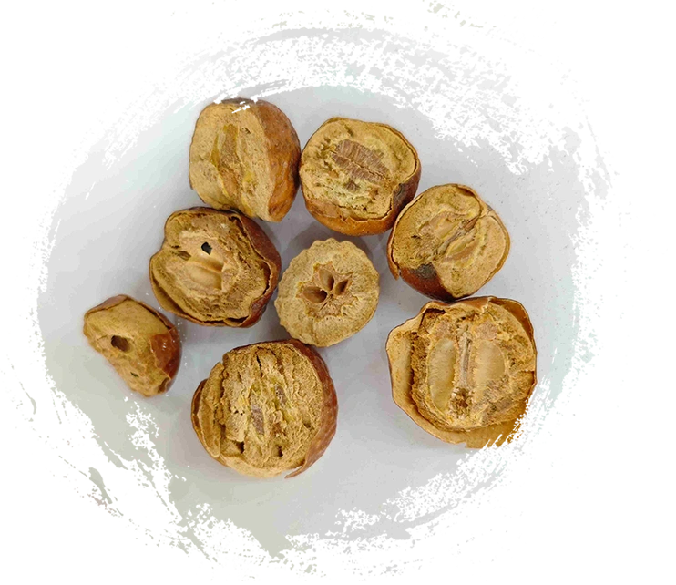 Toosendan Fruit (ChuānLiánzǐ)