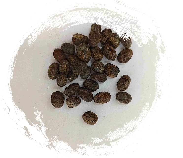 ถั่วเหลืองหมัก (dàndòuchǐ)