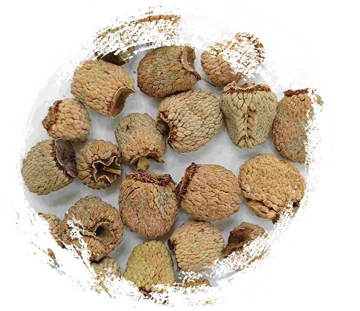 ผลไม้ราสเบอร์รี่ (fùpénzǐ)