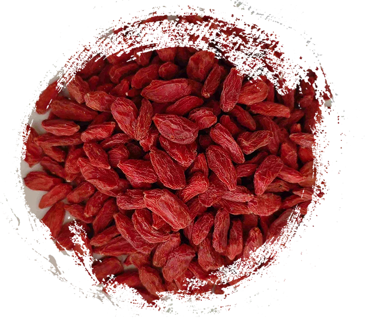 Lycium Berry (GǒuQǐ)