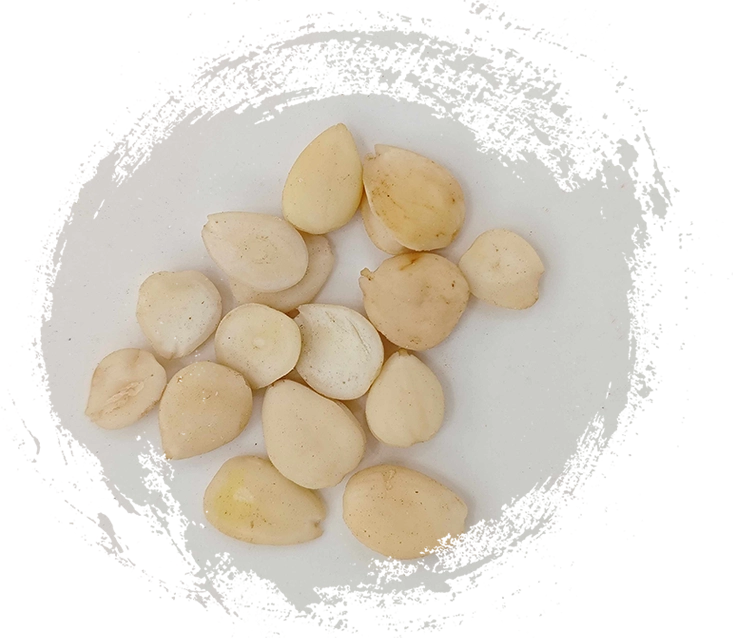 เมล็ดแอปริคอทขม (kǔxìngrén)