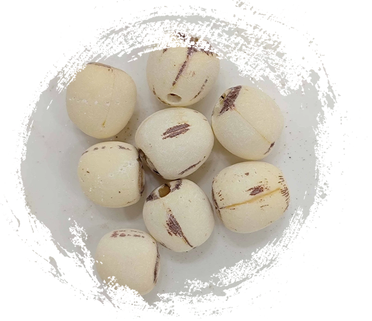 เมล็ดดอกบัว (Liánzǐ)