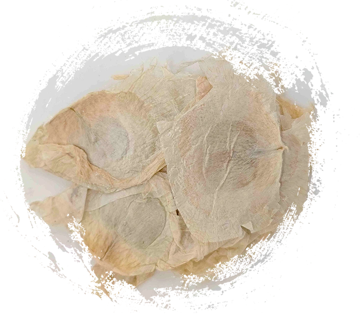 เปลือกต้นไม้ผีเสื้อ (Mùhúdié)