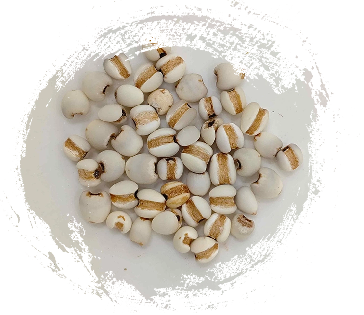 เมล็ดโคก์ (yìyǐrén)