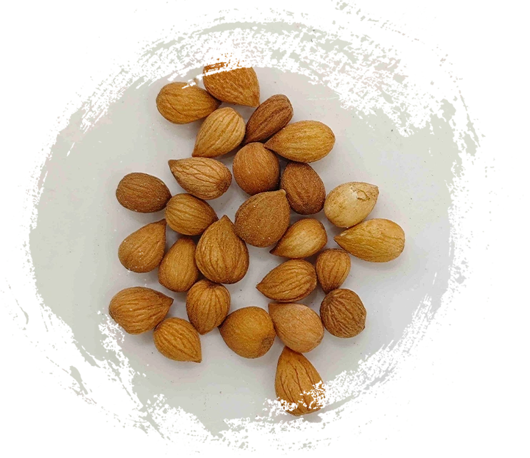 Prunus Seed (yùlǐrén)