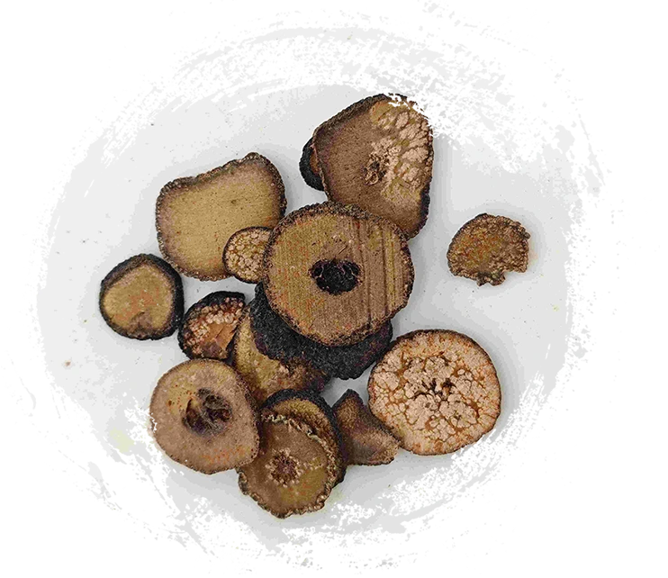 สีส้มขมขื่น (Zhǐshí)