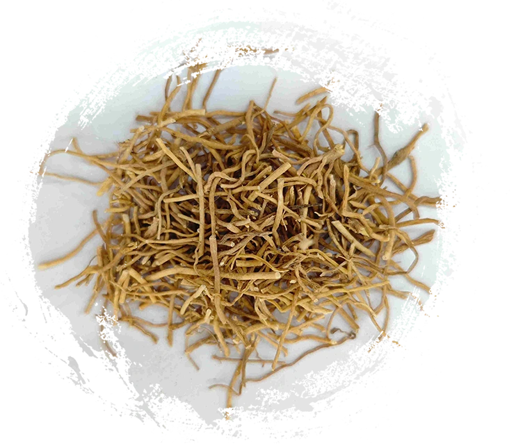 Herba Diplopanthis (XúChángQīng)