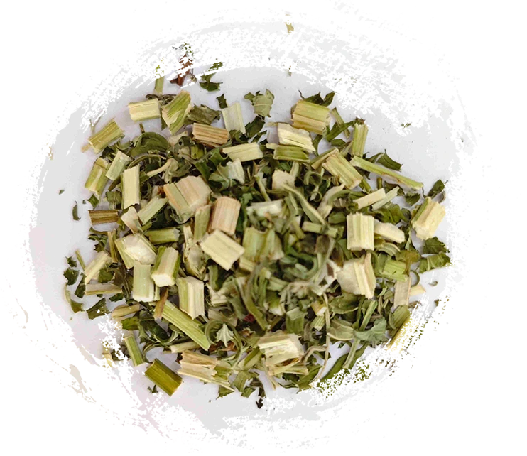 Motherwort (yìmǔcǎo)