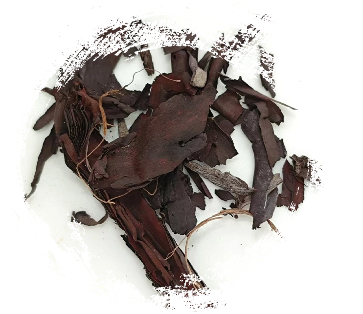 lithospermum (zǐcǎo)