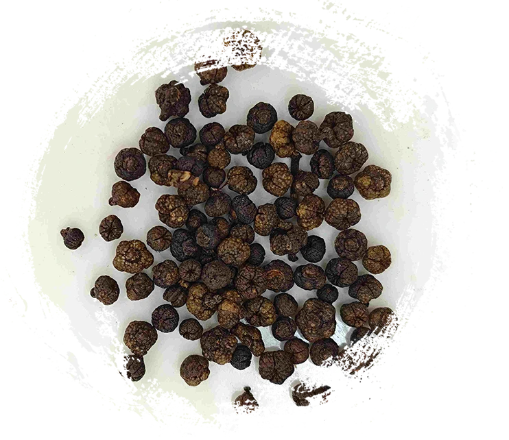 ผลไม้ Evodia แปรรูป (ZhìWúzhūyú)