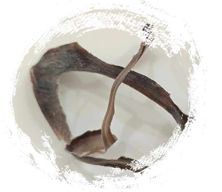 ฮอร์นบัฟฟาโล (shuǐniújiǎo)