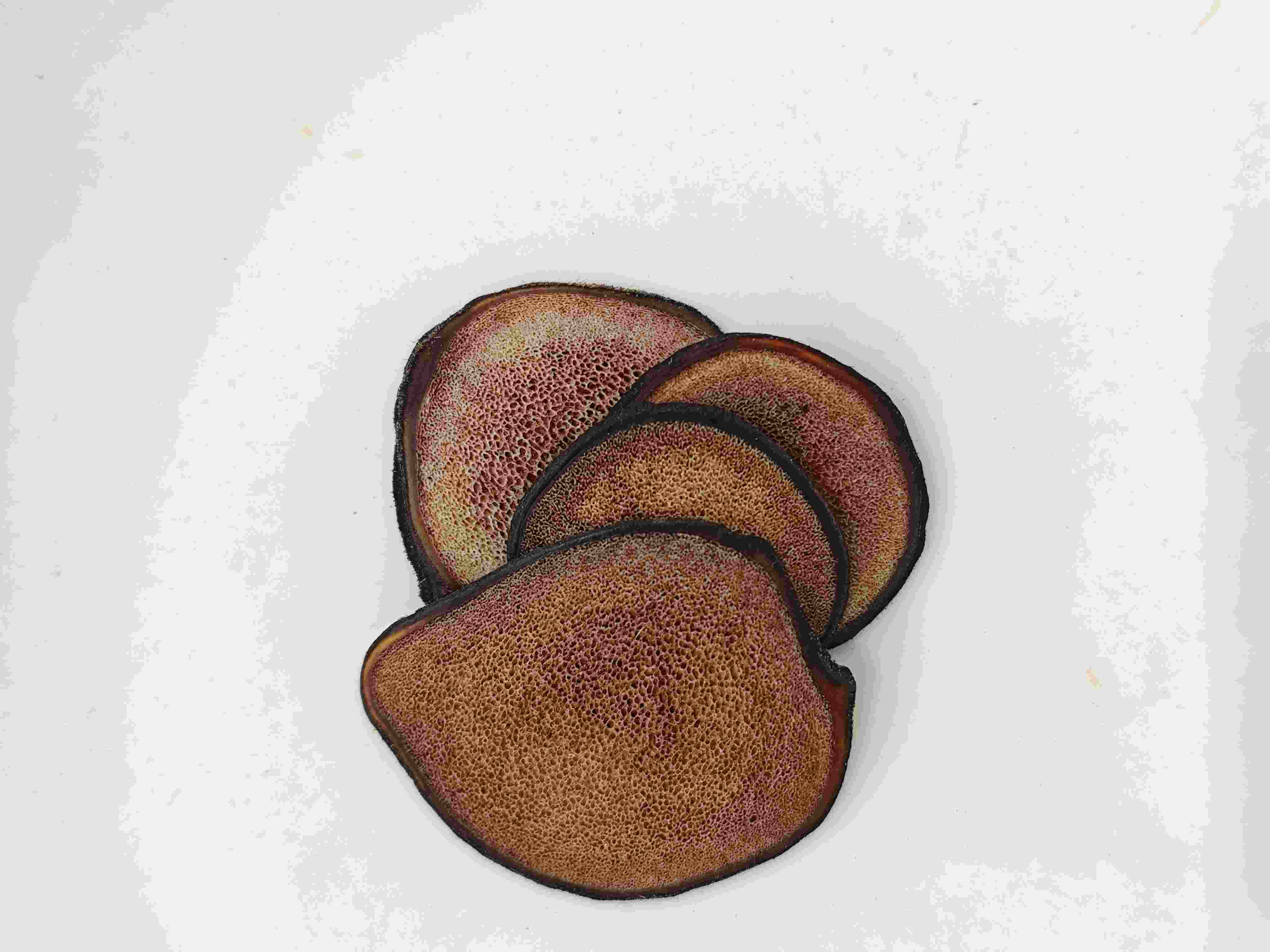 Slice กวางกวาง (lùróngpiàn)