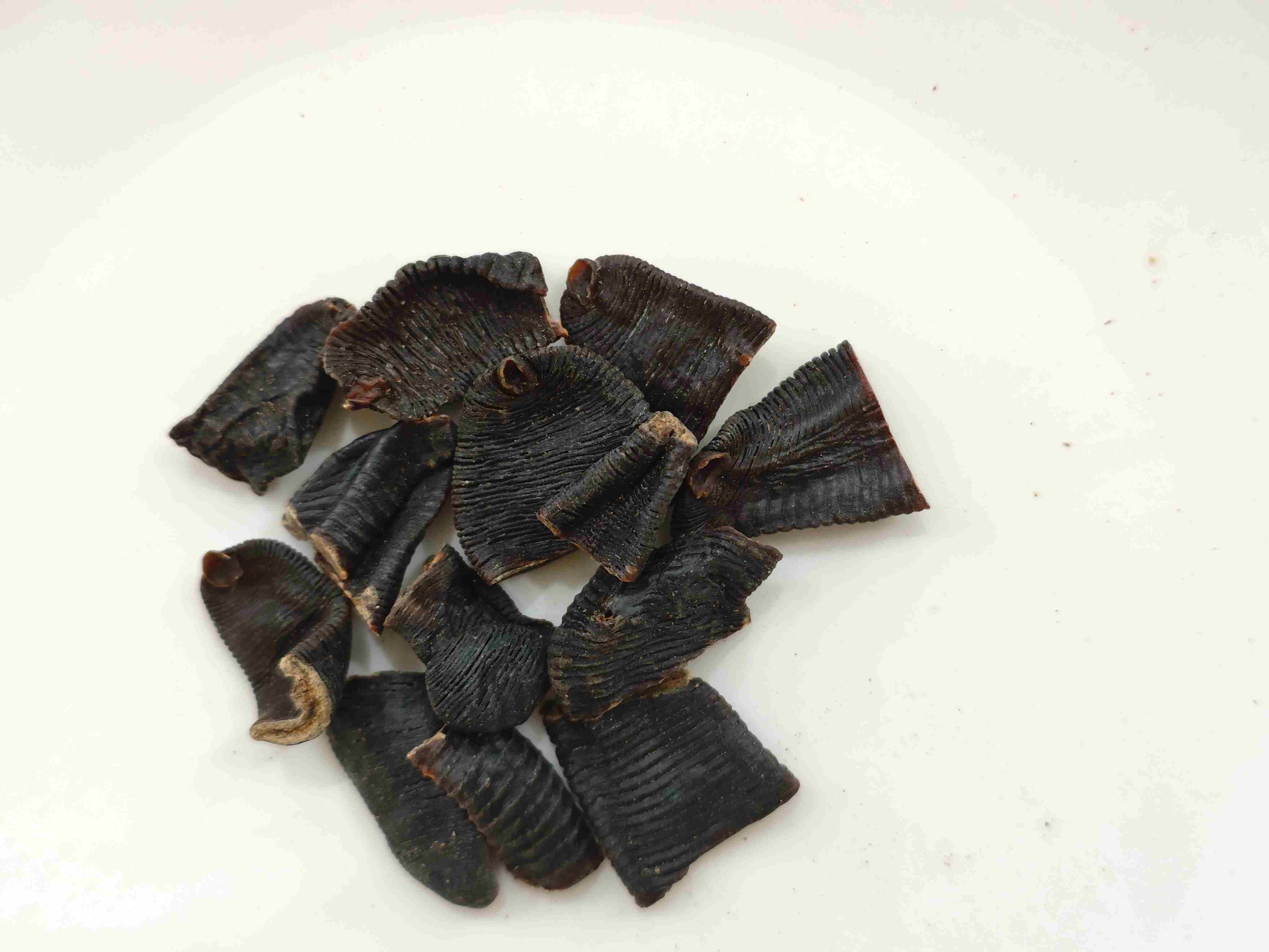 ปลิง (Shuǐzhì)