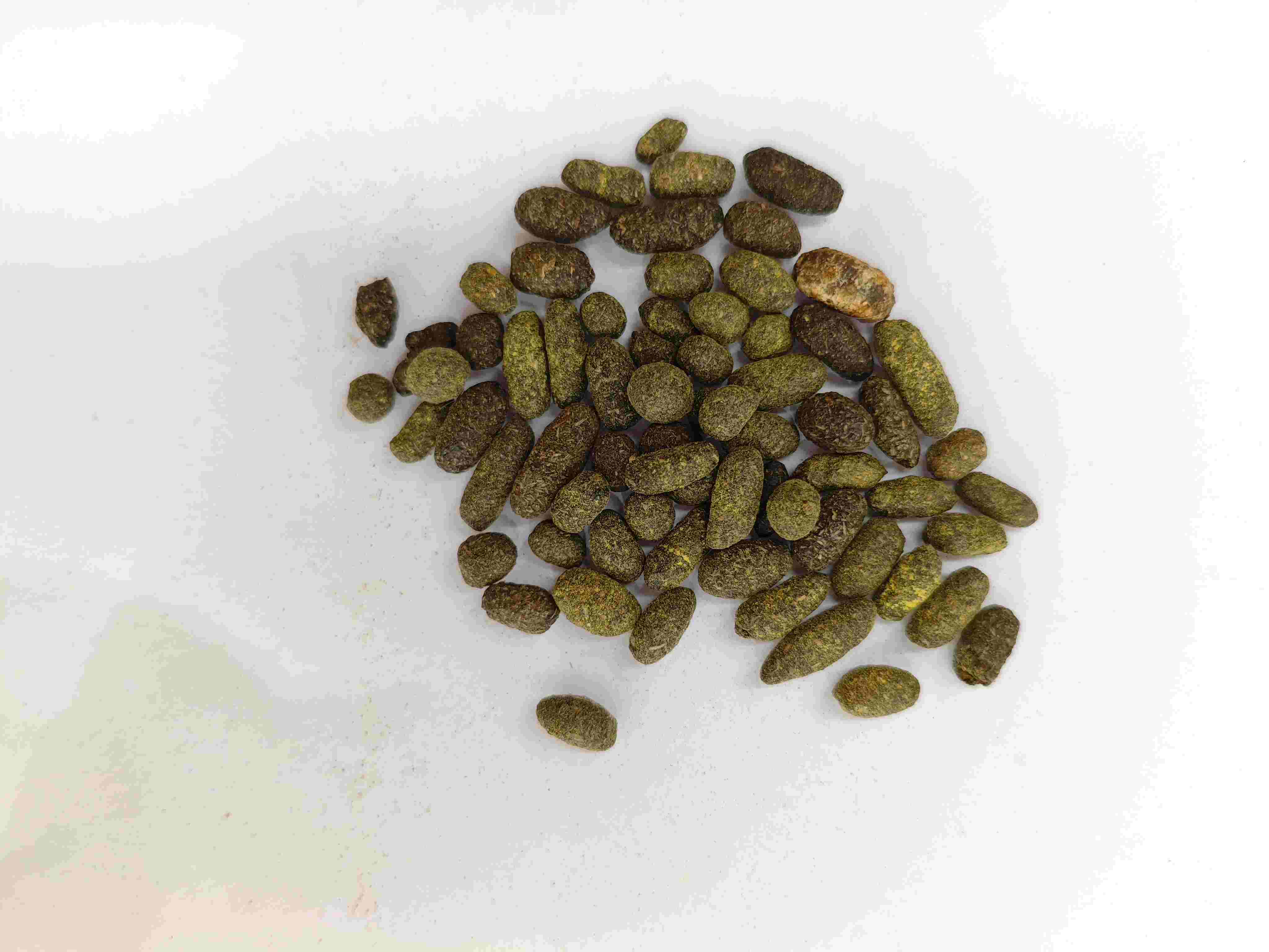 Lacquer Tree Resin (Wǔl&iacute;ngzhī)