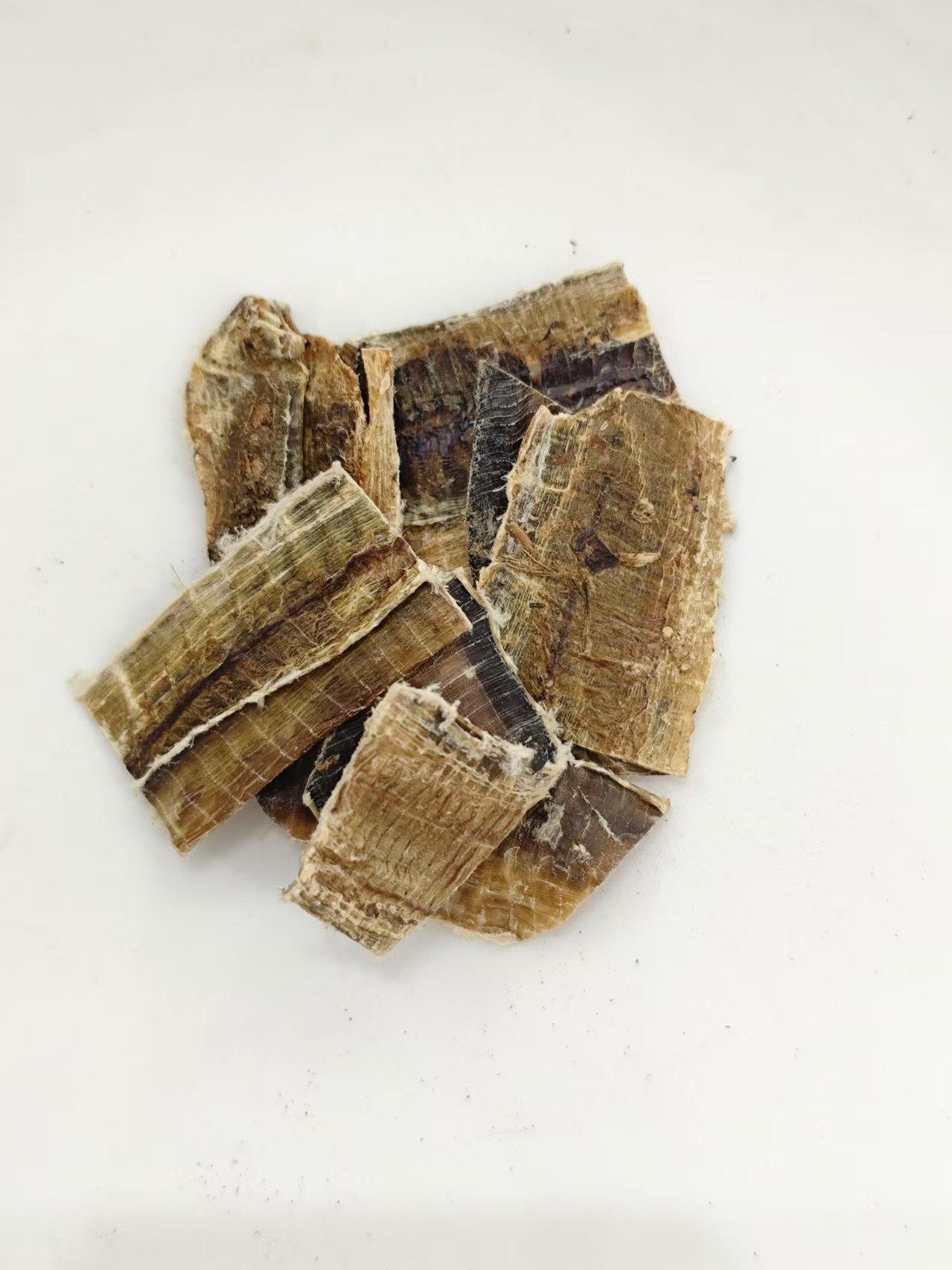 ไส้เดือน (d&igrave;l&oacute;ng)