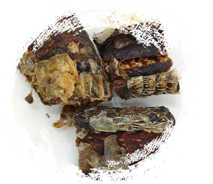 งูสีดำซิกแซกสีดำ (jiǔwūshāoshé)