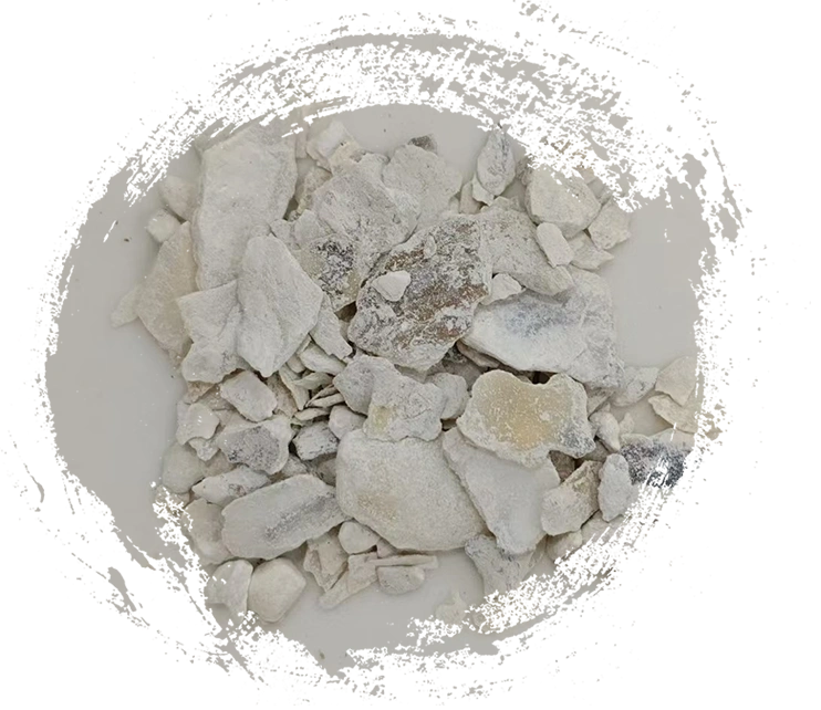 หอยนางรม (mǔlì)