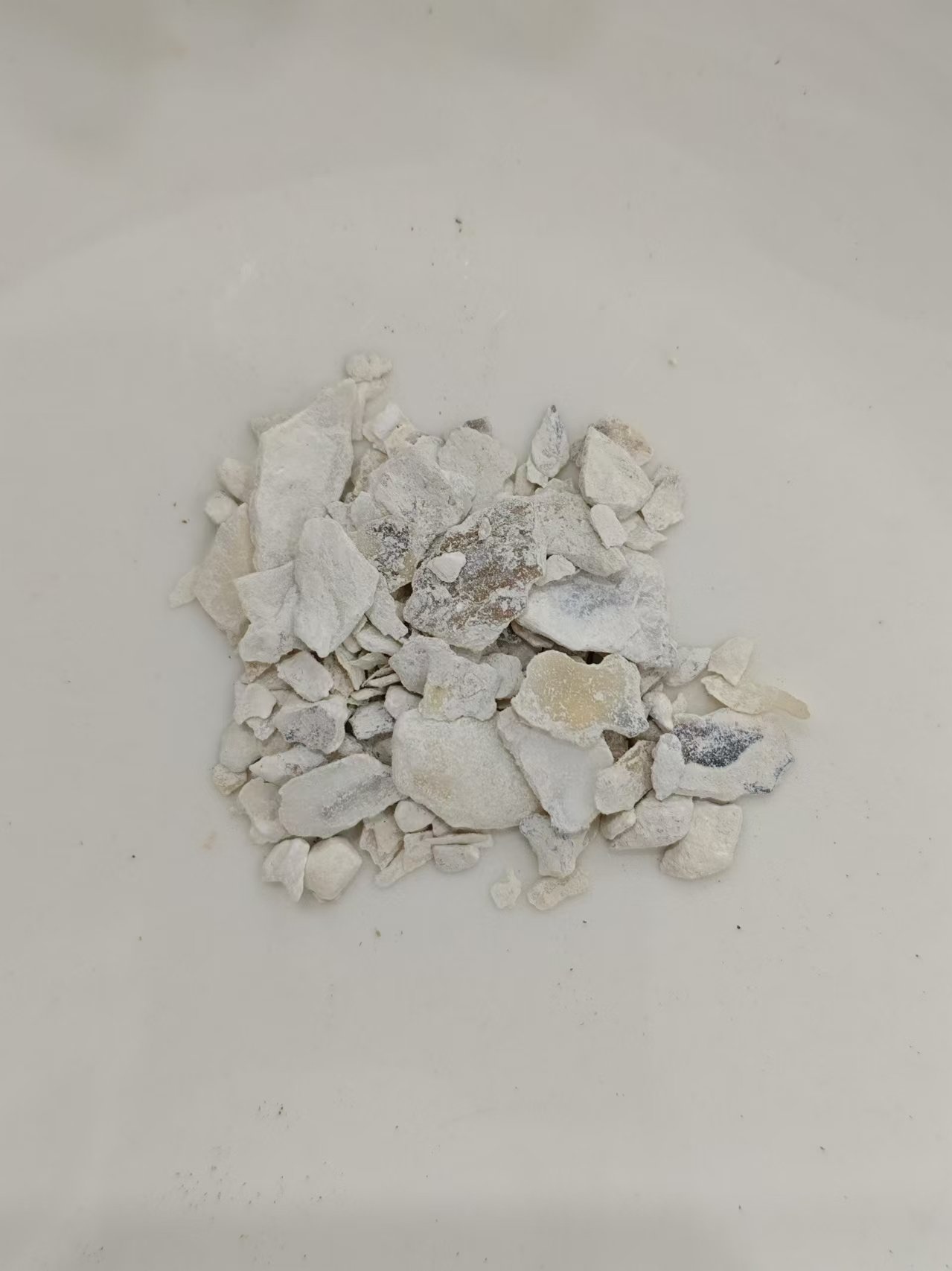 หอยนางรม (mǔl&igrave;)