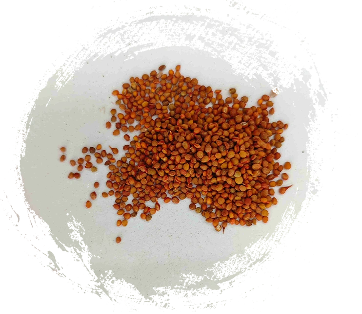 คุณควรพิจารณาคุณสมบัติใดบ้างในการเลือกยาแร่ธาตุจีนแบบดั้งเดิมคุณภาพสูง?