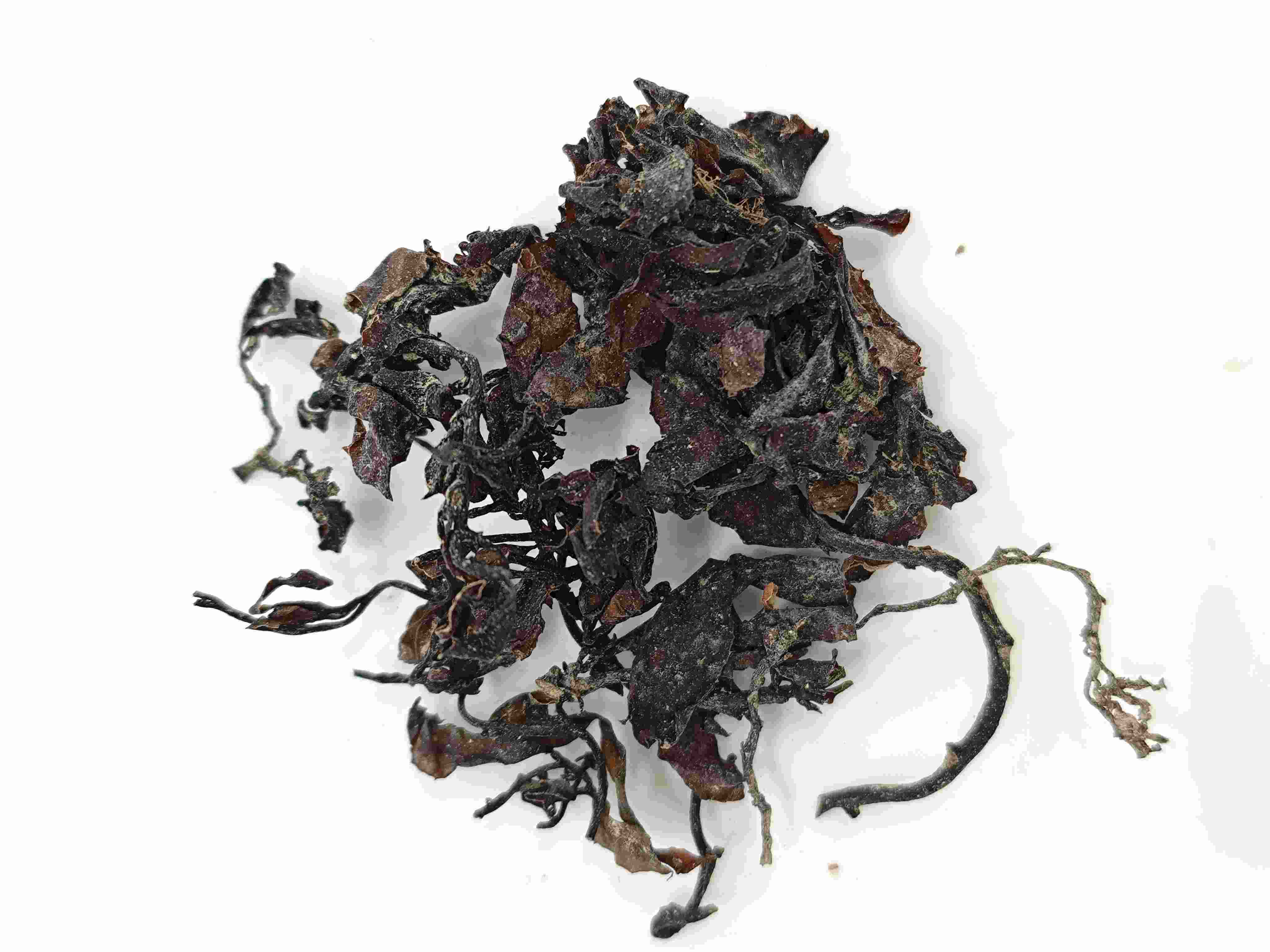 สาหร่าย (hǎizǎo)