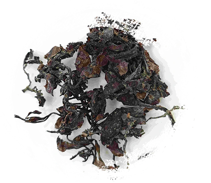 สาหร่าย (hǎizǎo)