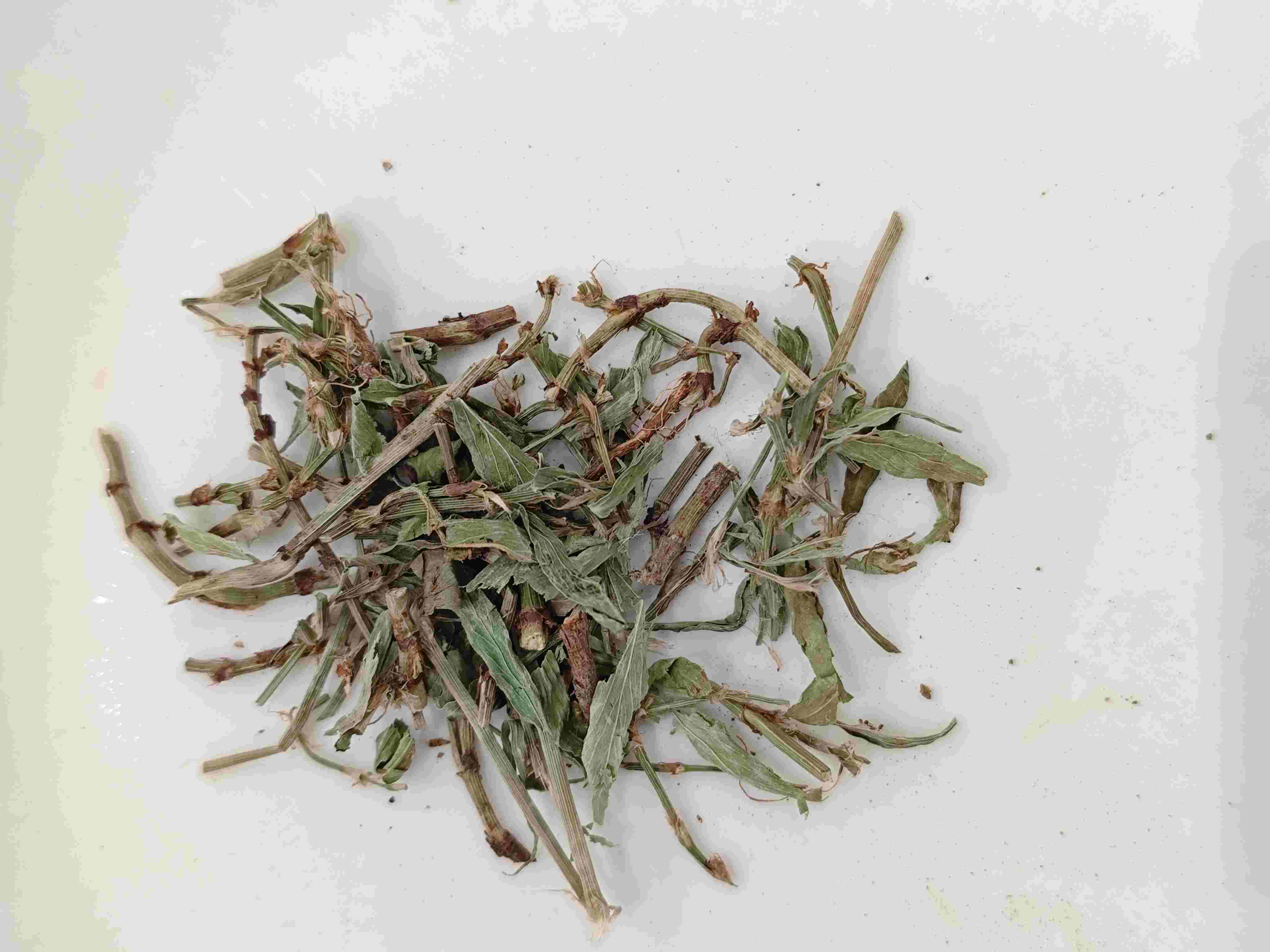 Dogwood Herb / Knotgrass (piānxù)