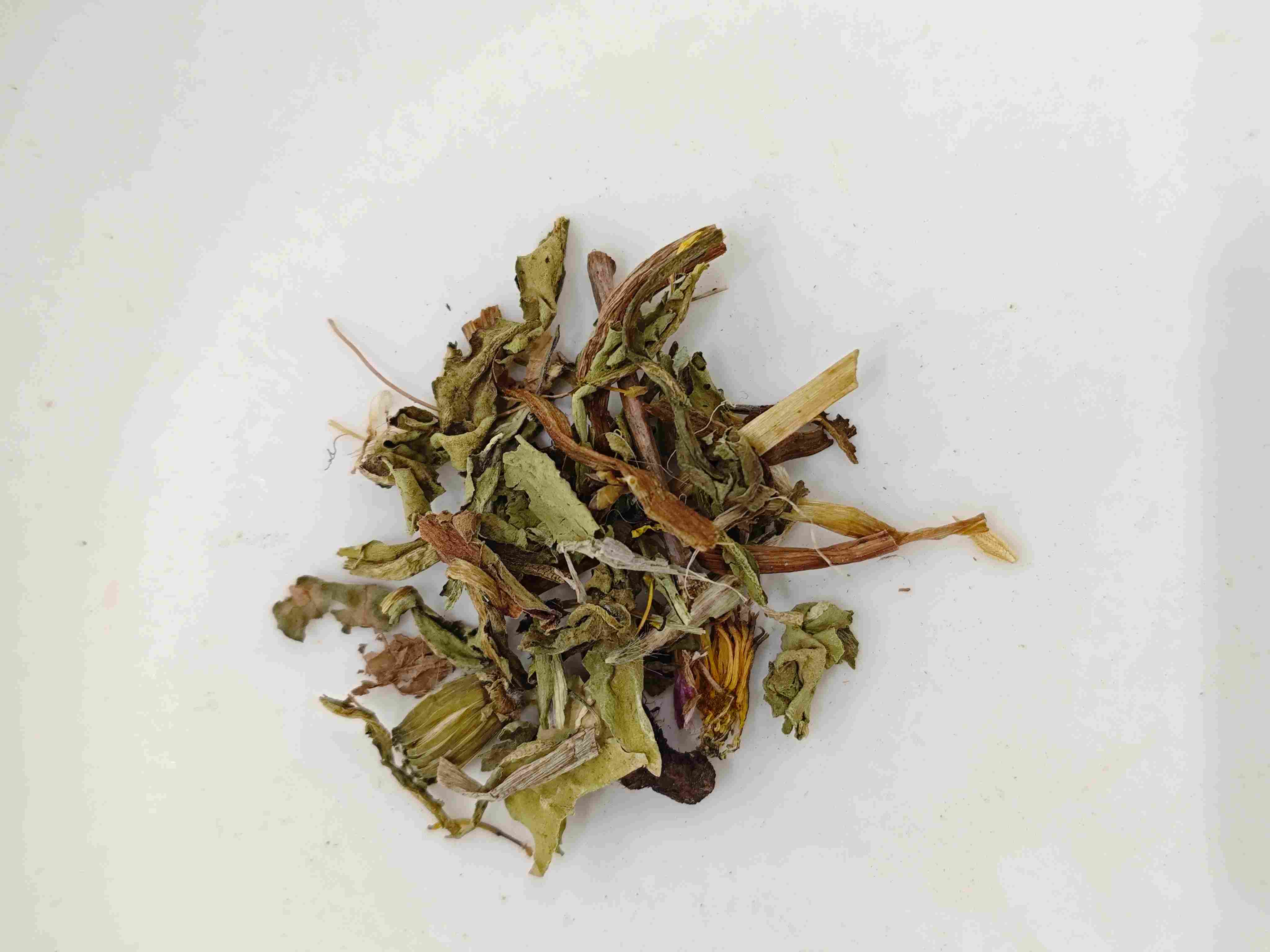 Dandelion (Púgōngyīng)