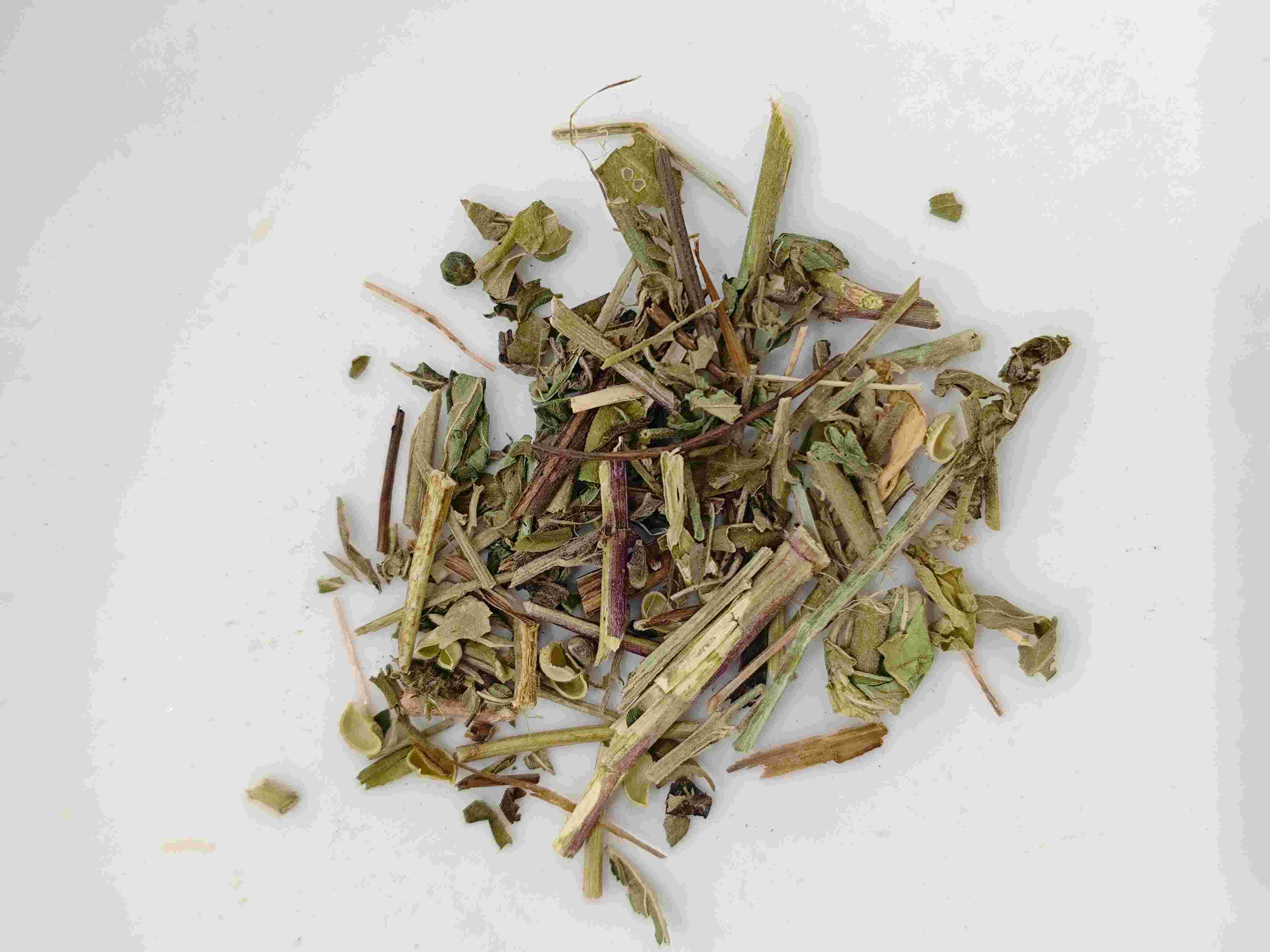 Herba serratulae (tòugǔcǎo)