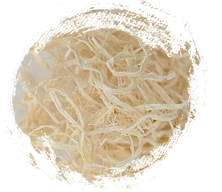 ไม้ไผ่ (ZhúRú)