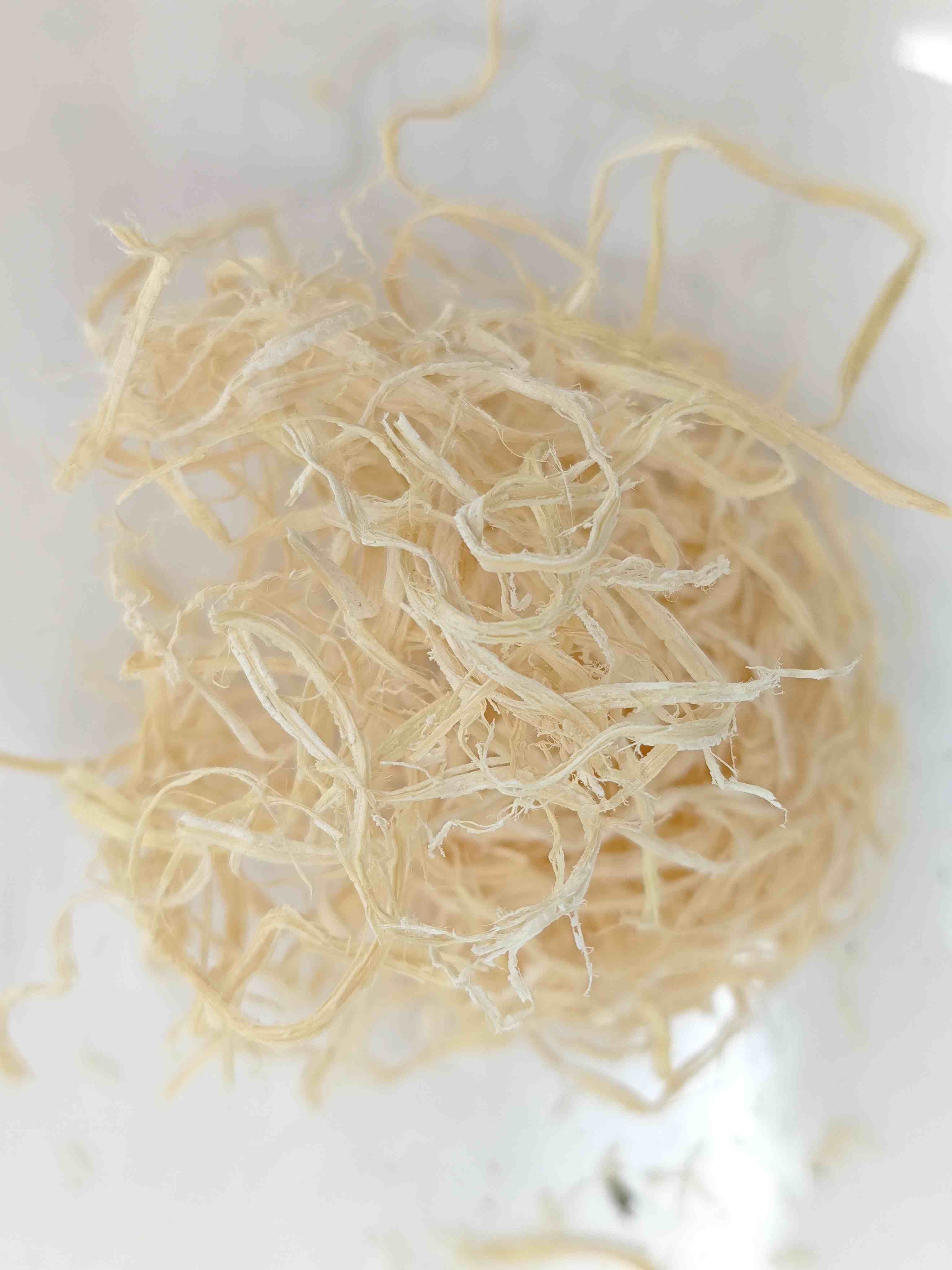 ไม้ไผ่ (ZhúRú)