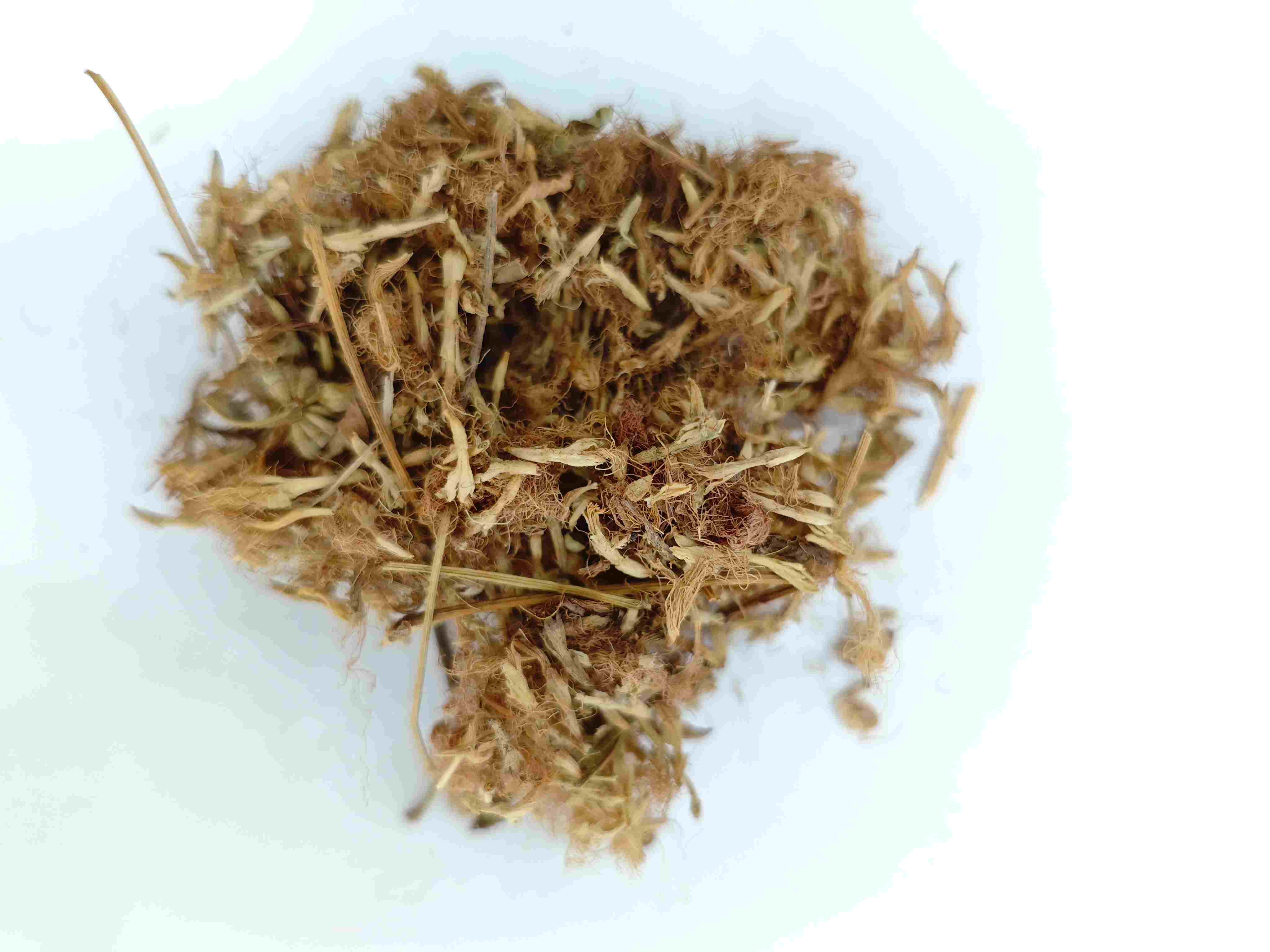 ดอกไม้ต้นต้นไม้ (HéhuānHuā)