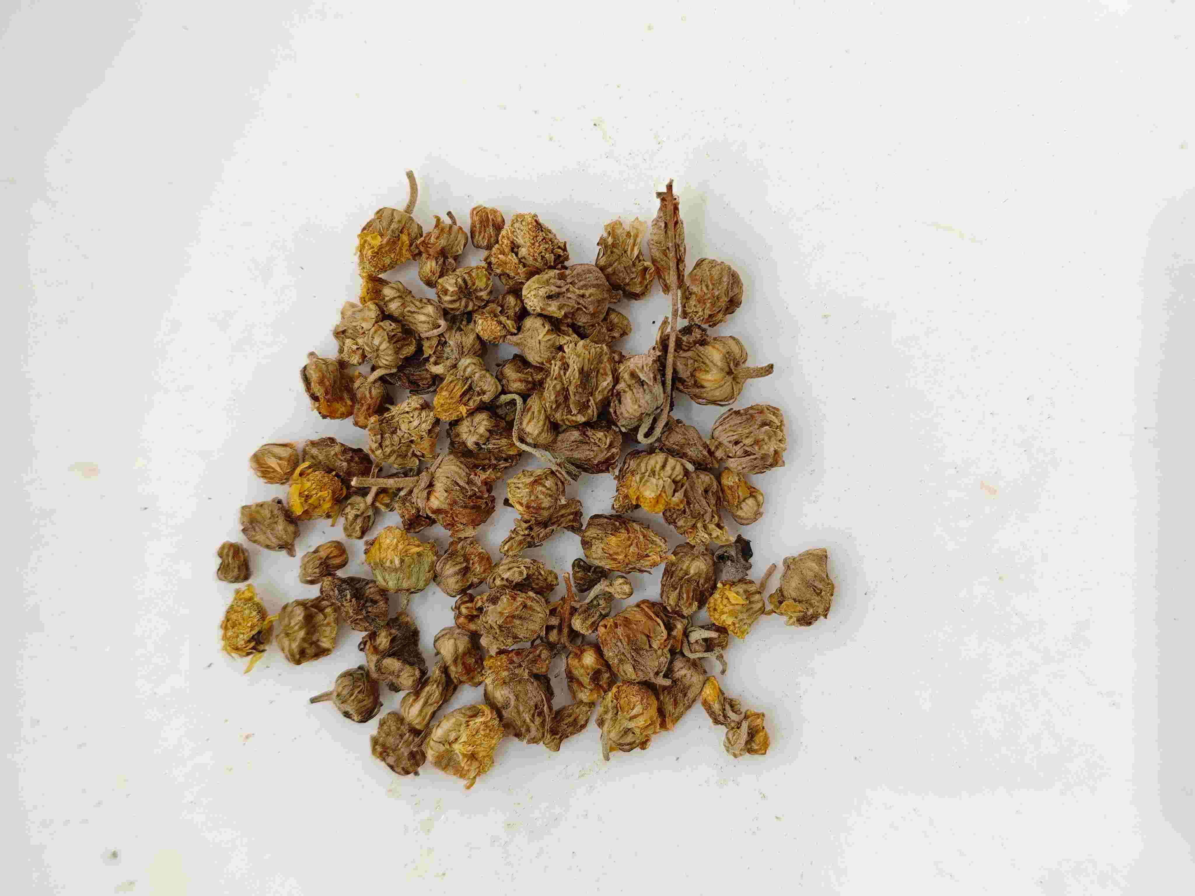 CHRYSANTHEMUM WILD (YěJúHuā)