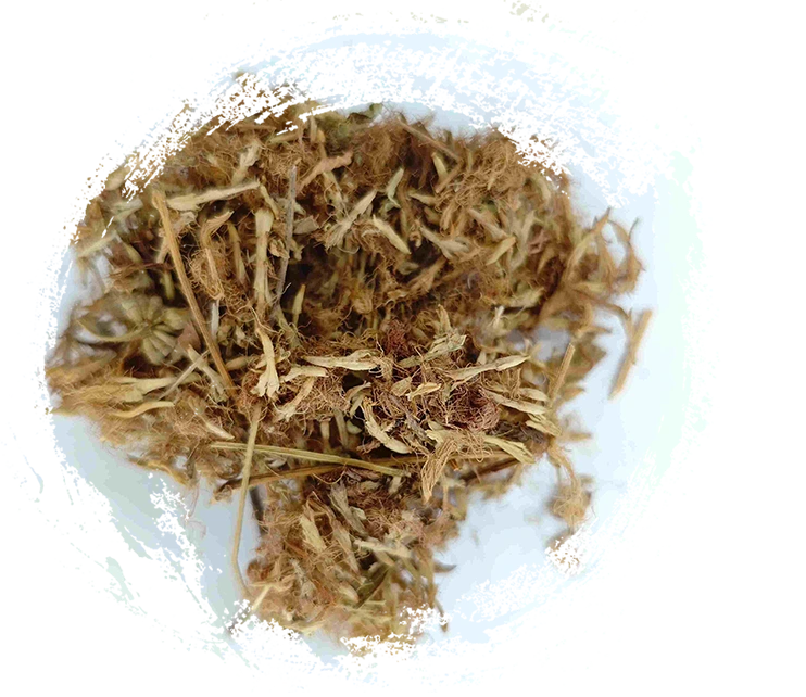 ดอกไม้ต้นต้นไม้ (HéhuānHuā)