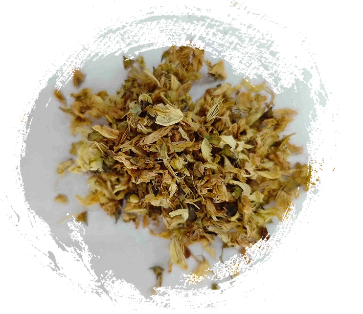 Sophora Flower (HuáiHuā)