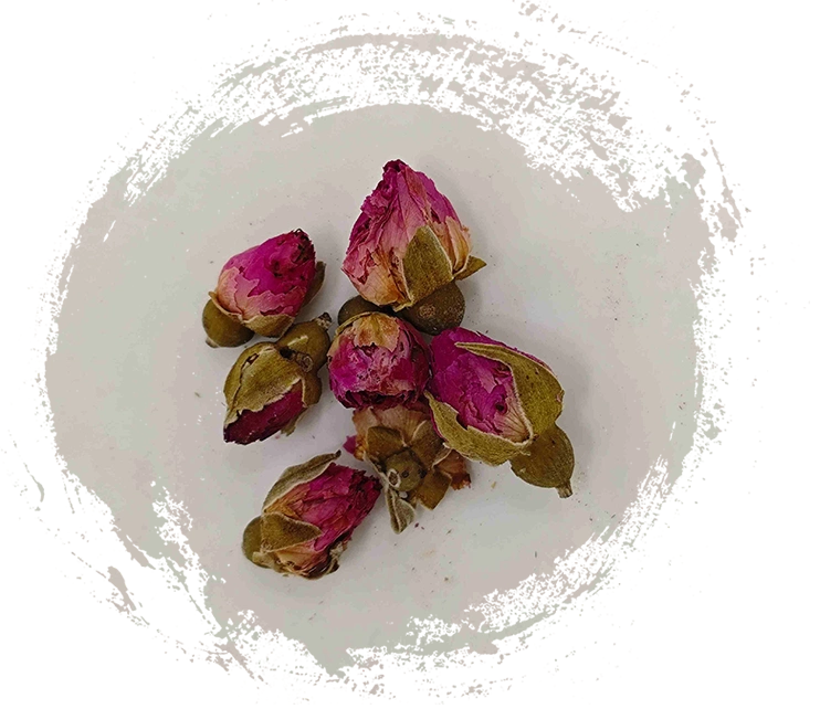 ดอกกุหลาบ (MéiguīHuā)