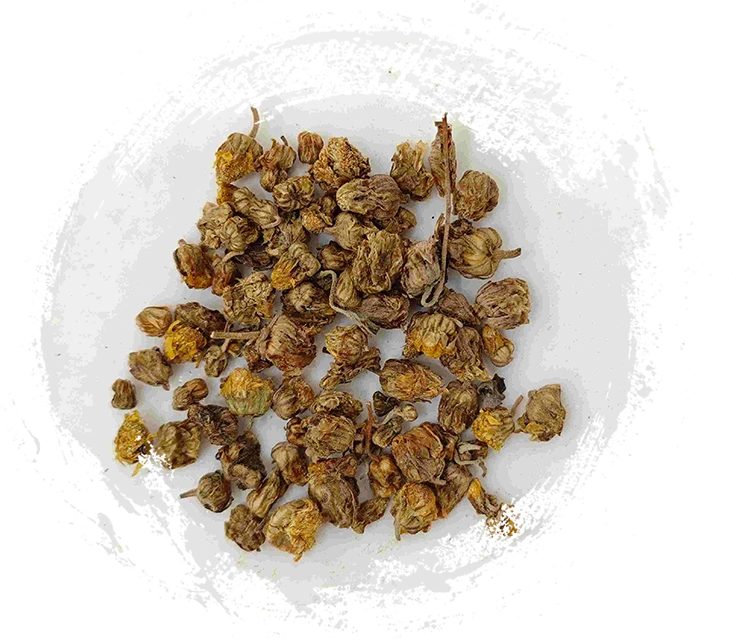 CHRYSANTHEMUM WILD (YěJúHuā)