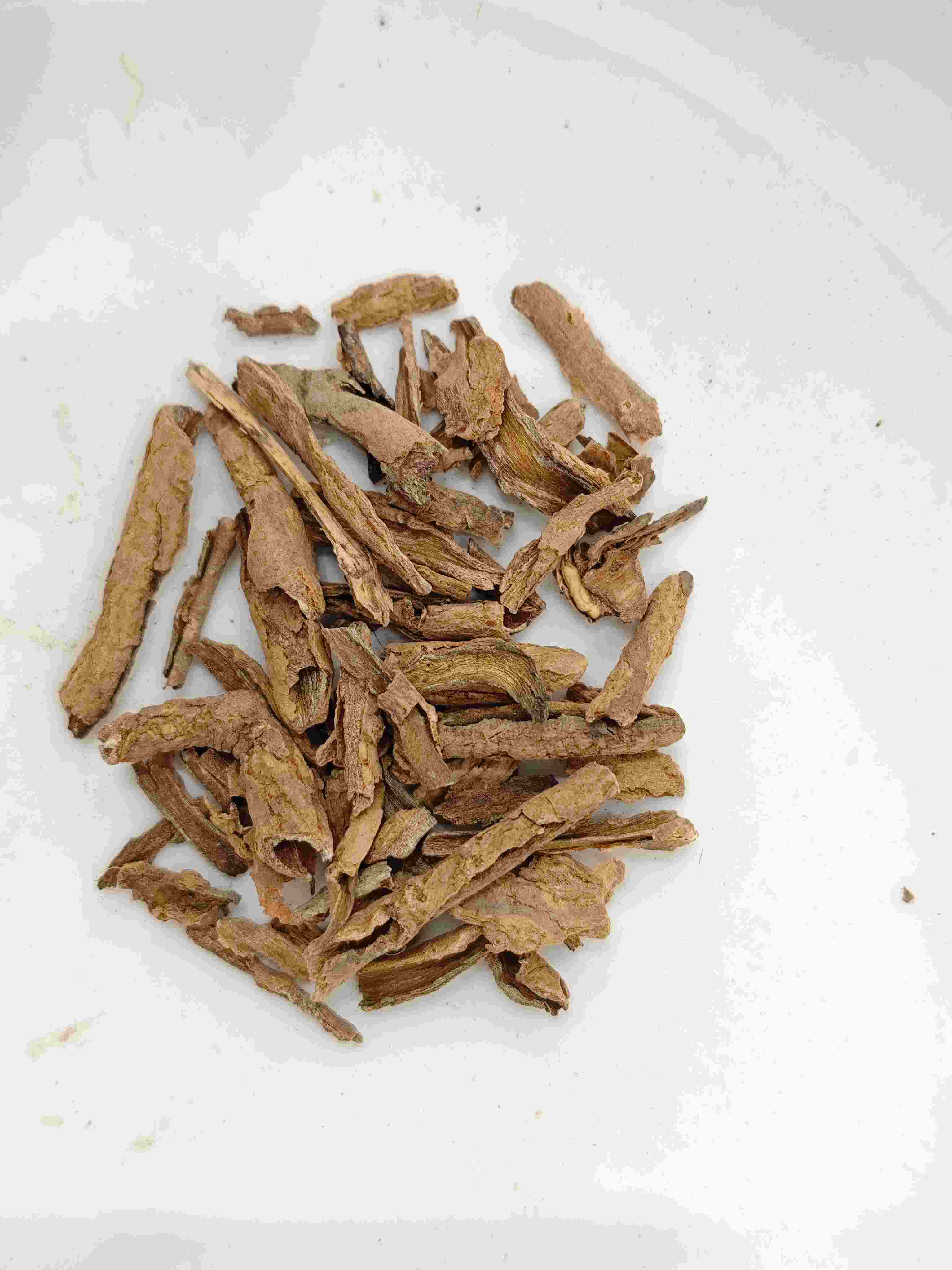 Lycium Root Bark (d&igrave;gǔp&iacute;)