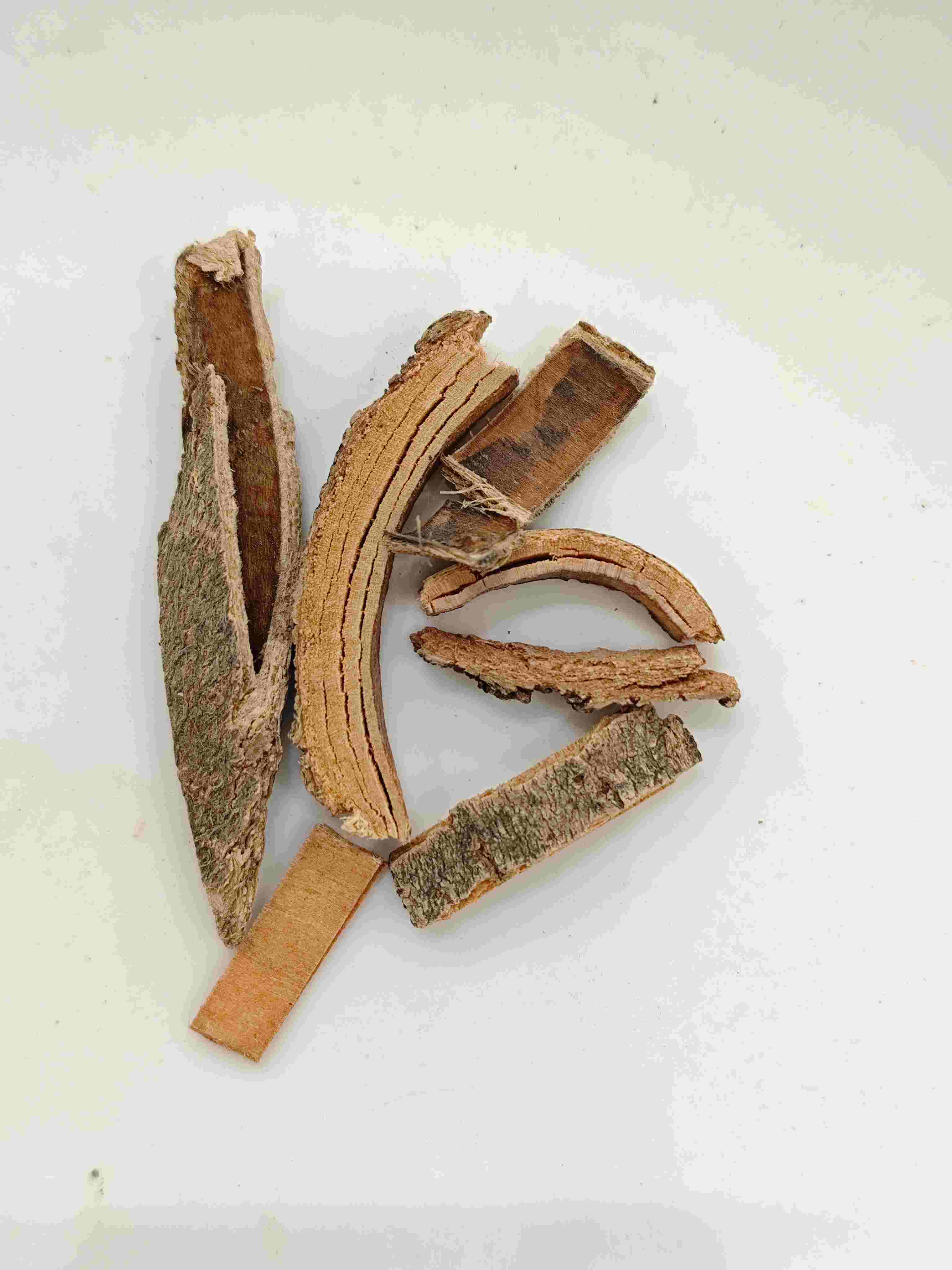 เปลือกเถ้าจีน (QínPí)