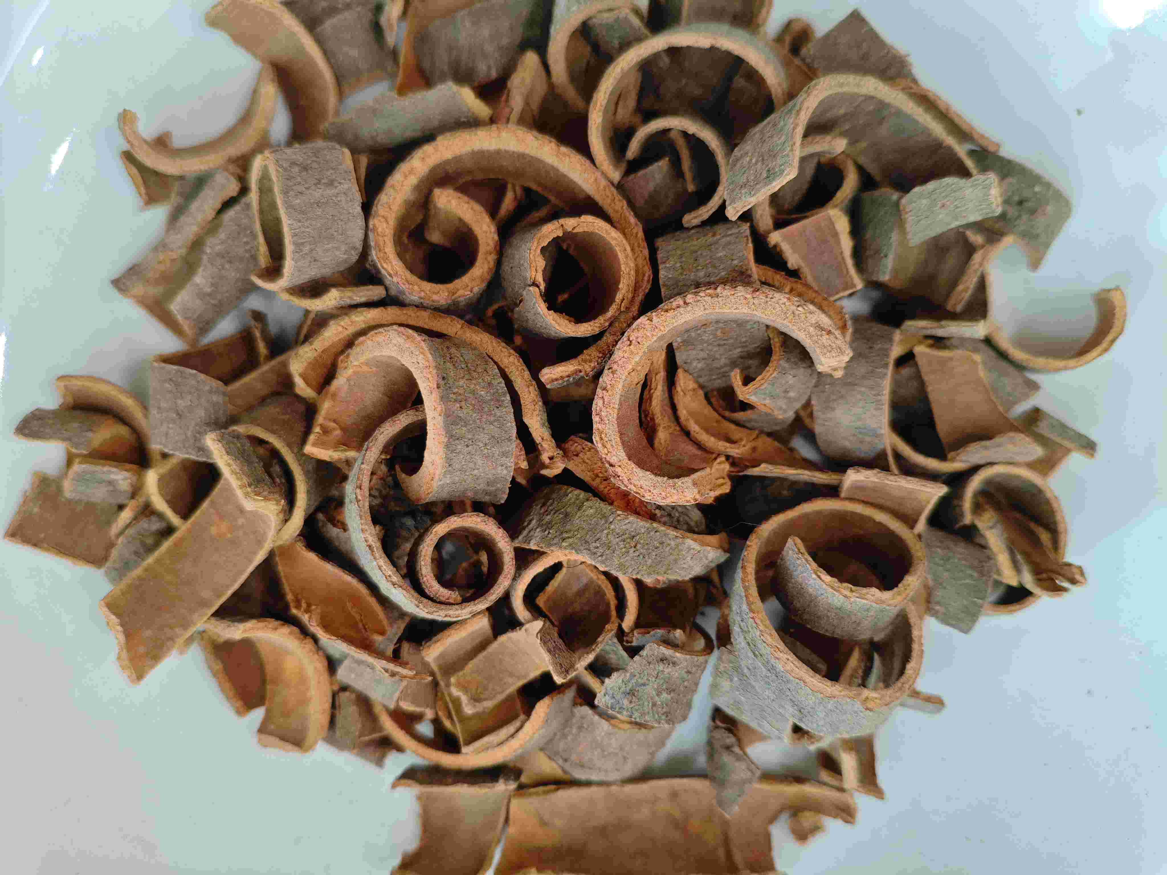 เปลือกอบเชย (ròuguì)