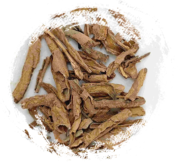 Lycium Root Bark (dìgǔpí)