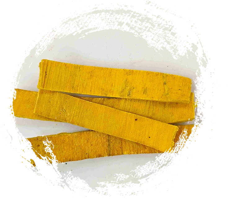 เปลือก Phellodendron (Huángbò)