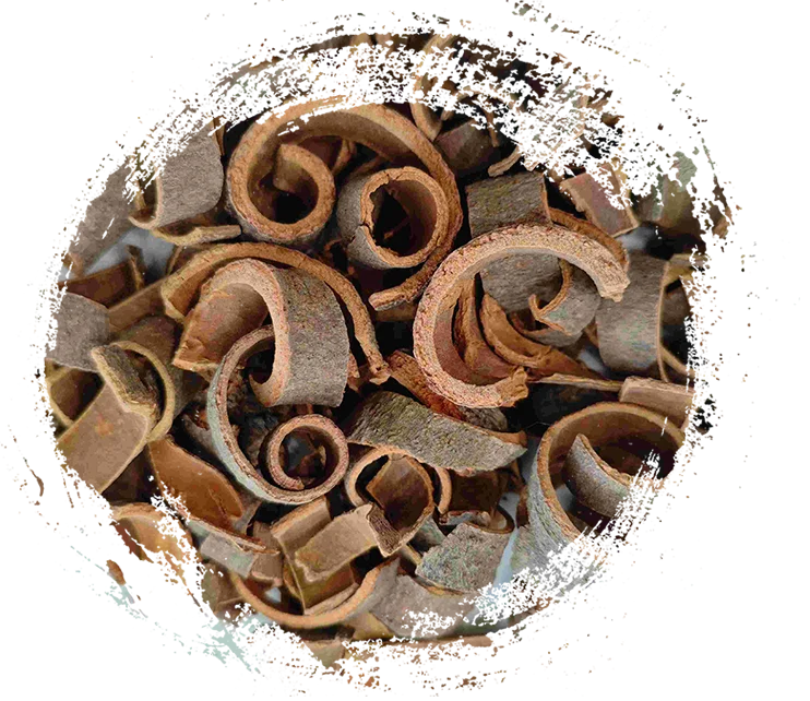 เปลือกอบเชย (ròuguì)