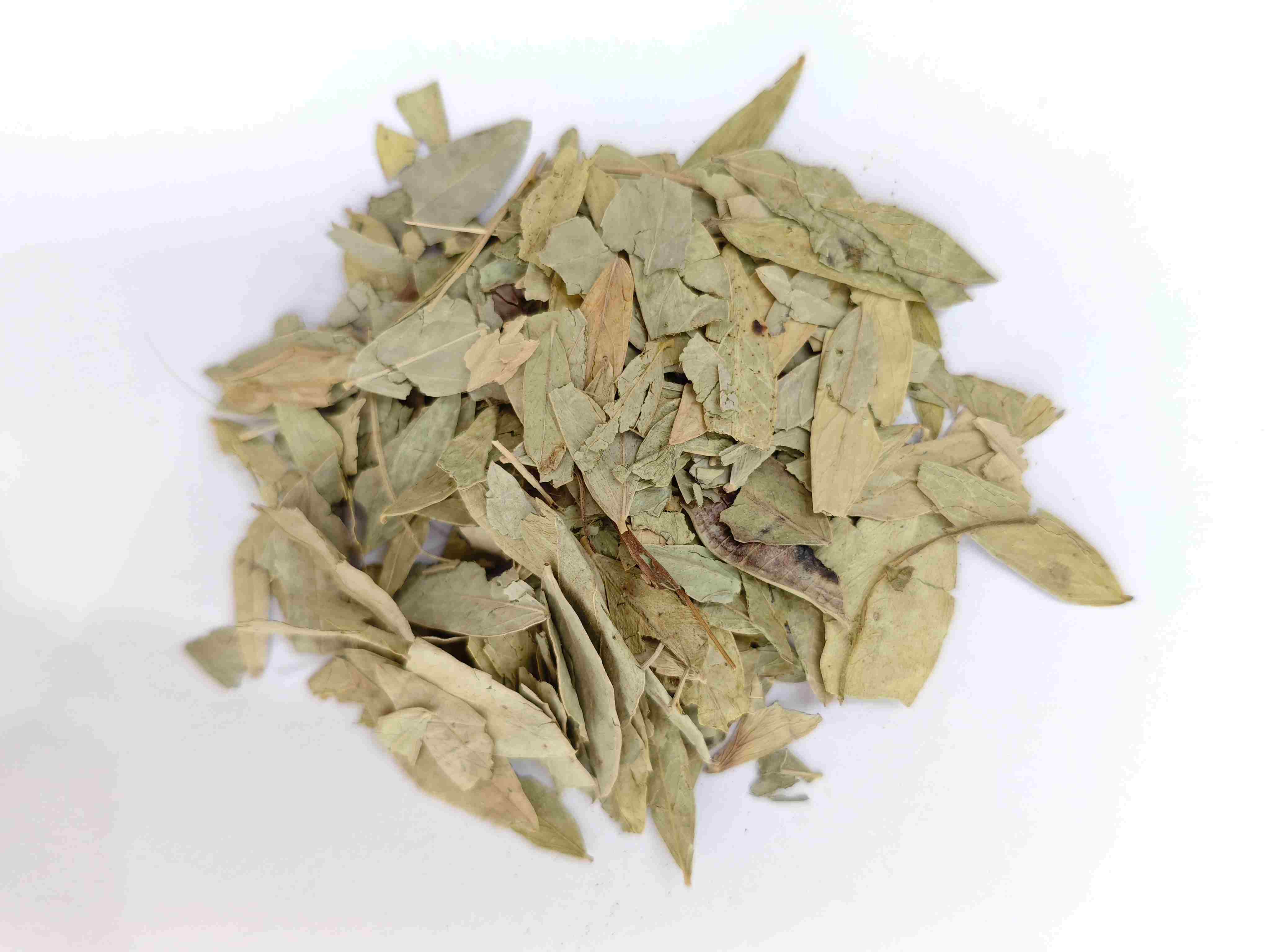 Senna Leaf (fānxièyè)